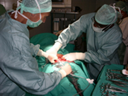 CENTRO STERILITA' MASCHILE AZOOSPERMIA PUGLIA